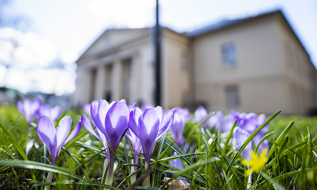 Oslo 20210415. Blomstene spirer i vårsola utenfor Oslo Børs.Foto: Håkon Mosvold Larsen / NTB