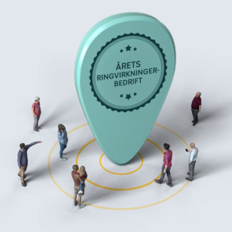 Ringvirkninger 2022