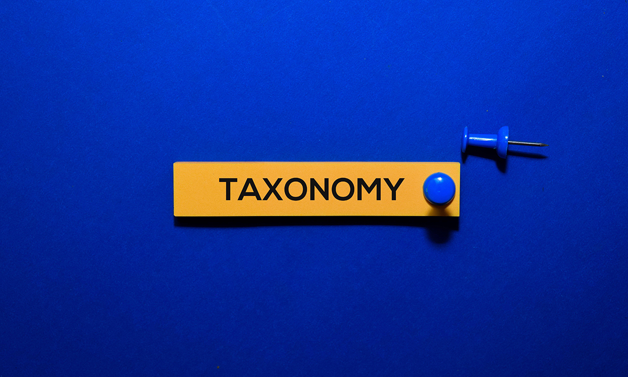 Taxonomy on sticky notes isolated on Office Desk