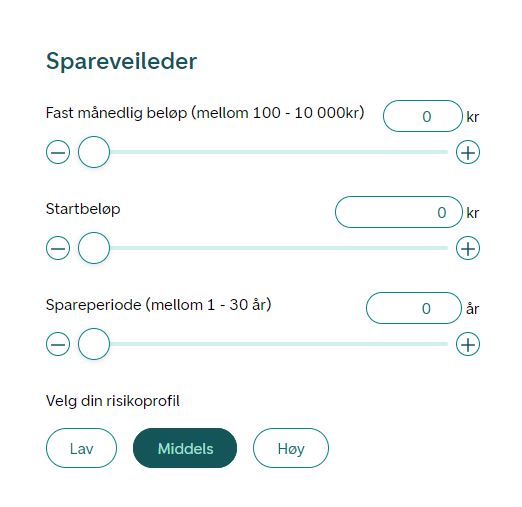 Skjermdump av spareveileder