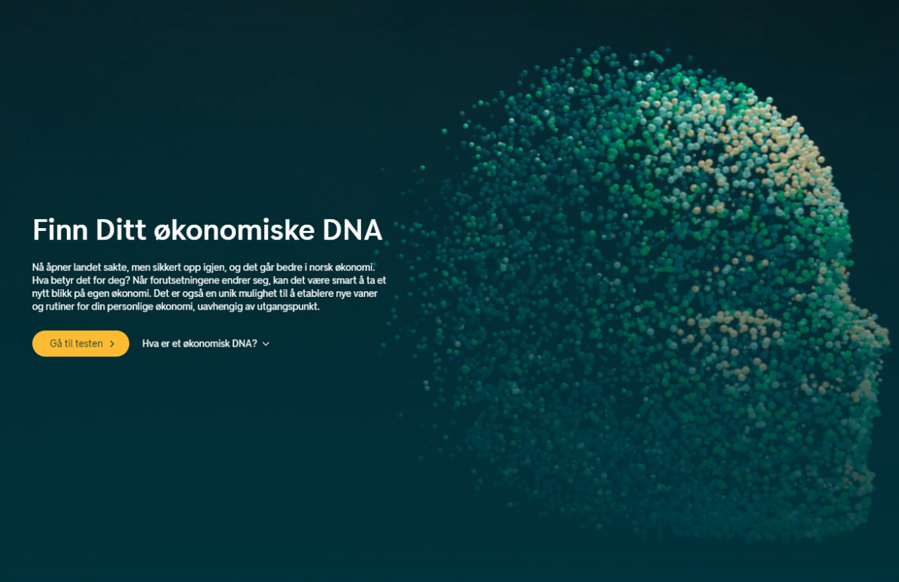 skjermdump av ditt økonomiske dna