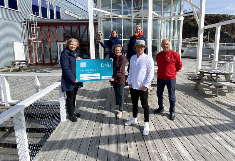 Sparebankstiftelsen DNB deler ut 2 millioner kroner til SALT