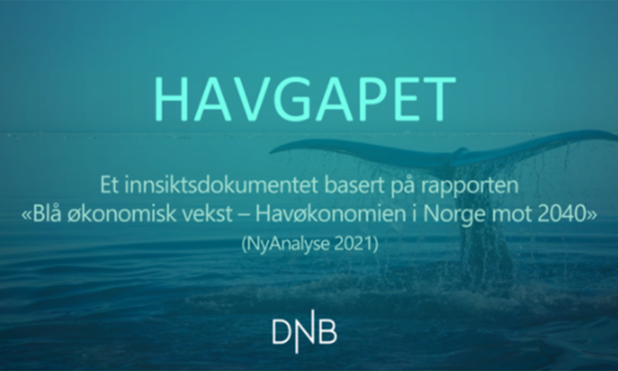 Havgapet innsiktsdokument